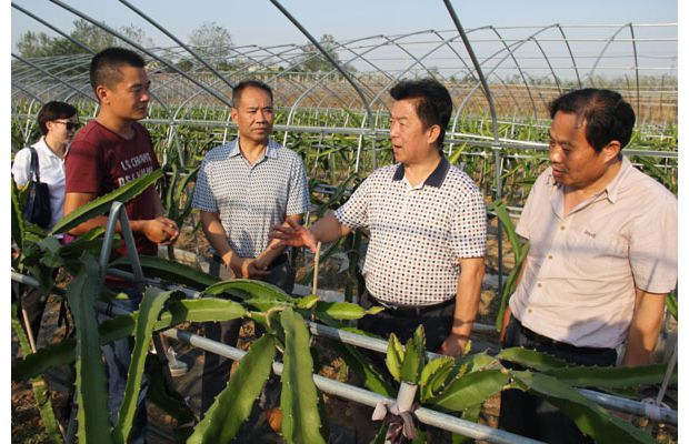 �S�ݿƅf(xi��)��Ո(q��ng)ʡ�ƅf(xi��)���ҁ��S��Q���g(sh��)�y�}