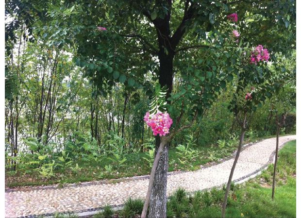 �S���в���ӿ����B(t��i)�@�־G�����̽��O(sh��)