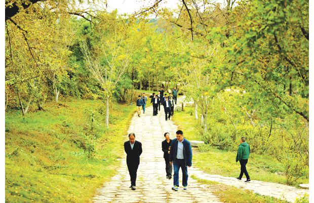 �����^(q��)���ǧ���y�ӹ��ھW(w��ng)�j(lu��)����߅�����M(j��n)���ƏV����