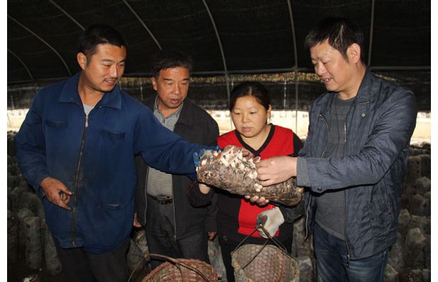 �����^(q��)�o(j��)ί�v����(zh��n)����ؚ����ꠡ������ڴ�M���ͷ�����