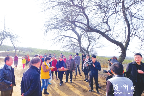 �S�h�e�O�����l(xi��ng)����