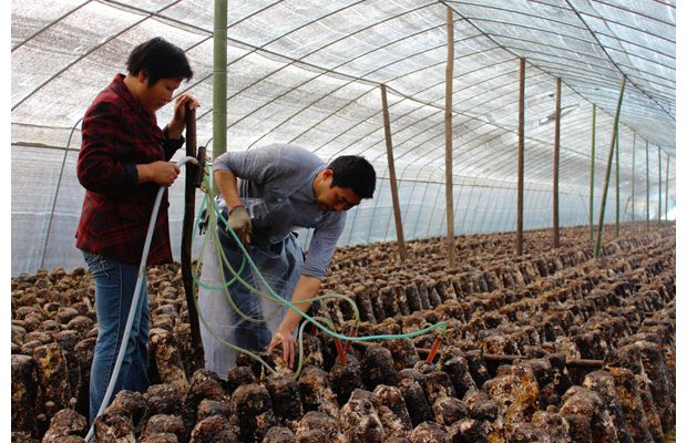 �����^(q��)����(zh��n)�ſ����㹽�Nֲ����