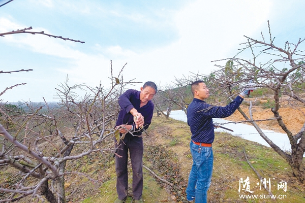 �S�h�ƿh�(zh��n)�A��ɽ��Ĺ��r(n��ng)��ǰ�������M����@��׷�ʺͼ�֦���_��������佡�����L