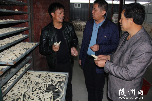 ����ָ��(d��o)�S���И��r�r(n��ng)���a(ch��n)Ʒ�Nֲ���I(y��)������Nֲ���p��