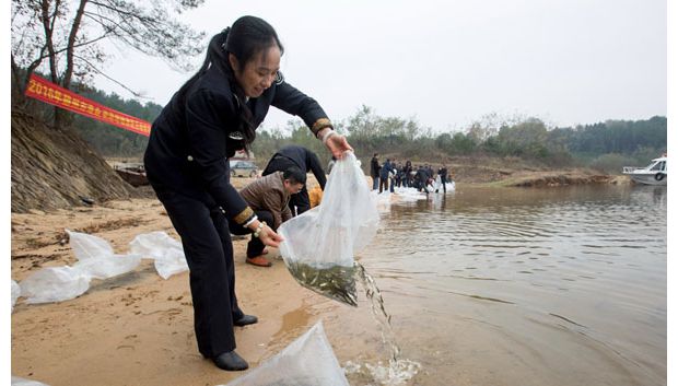 �S�����r(n��ng)�I(y��)�������X�Rˮ���_չ?ji��)O�I(y��)�YԴ�˹���ֳ�������