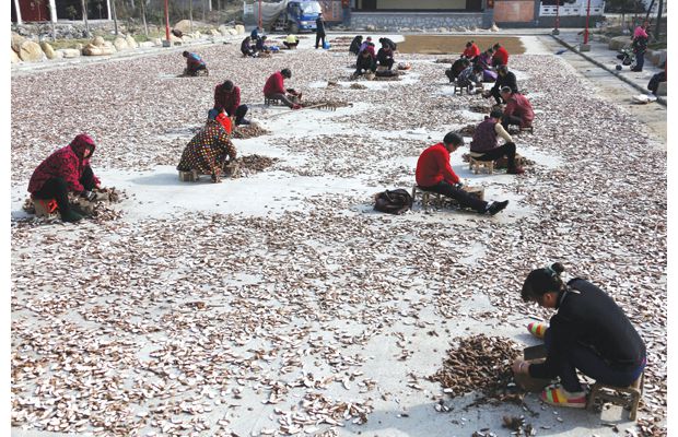 �S�h̫����L(f��ng)���^(q��)�r(n��ng)������Ұ����ˎ�İ�ܸƬ