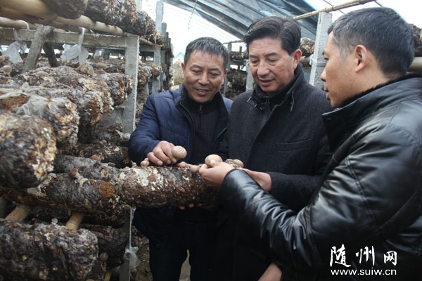 �S��ʳ�þ��f(xi��)��(hu��)���ҵ������^(q��)���(y��ng)�(zh��n)ָ��(d��o)�㹽���a(ch��n)