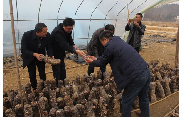 ����ʡʳ�þ��f(xi��)��(hu��)��(hu��)�L���A�r(n��ng)�����߅�y��ָ��(d��o)��(z��i)���ؽ������(n��i)�㹽���L