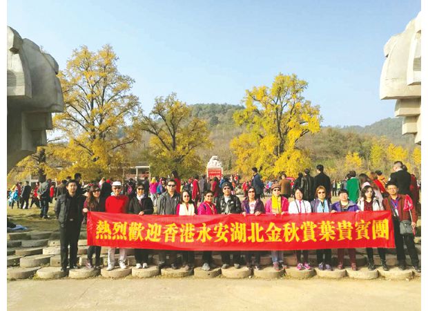 ������۵��ο�Ľ�����[���ǧ���y�ӹȾ��^(q��)