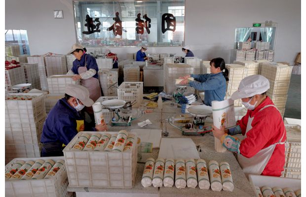 �������y�S�Zʳ��(ch��)�����޹�˾�Ӱ���c(di��n)���ӆ��