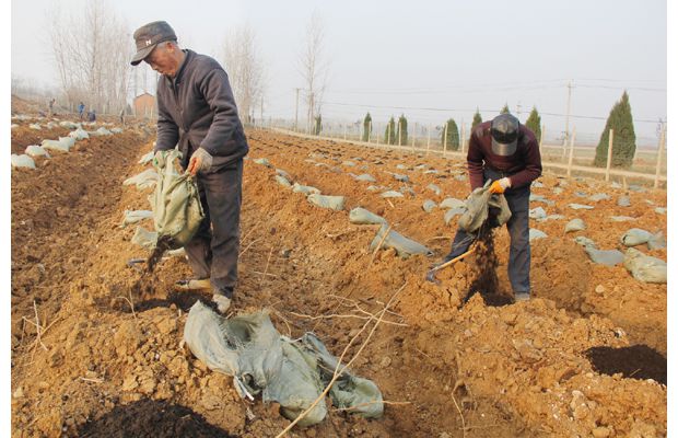 �S�����ϴٕ�(hu��)�ͷ��f���(zh��n)���^�������Nֲ�{(l��n)ݮ