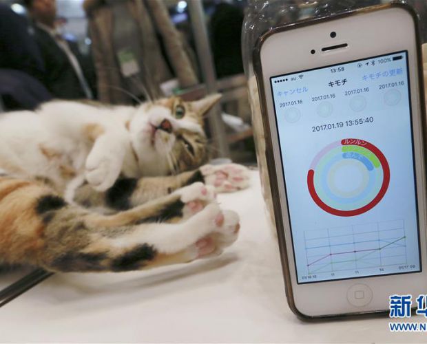 ����ɴ����O(sh��)�� 2017��01��20�� 08:50:49 | ��Դ�����A��