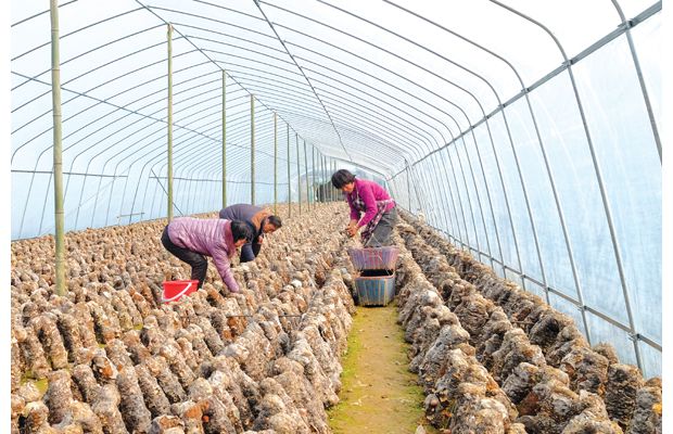 �S���㹽���h��h