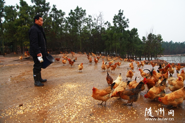 ��ɽ�(zh��n)����Ӵ�����������U���ֵ��_չɽ���B(y��ng)�u����߽�(j��ng)������