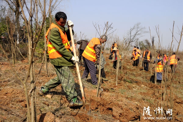 �S�h���r(n��ng)���Թ�˾��(du��)�׵۴���ľG���^�⎧�ȾG���O(sh��)ʩ�M(j��n)�о���(x��)������