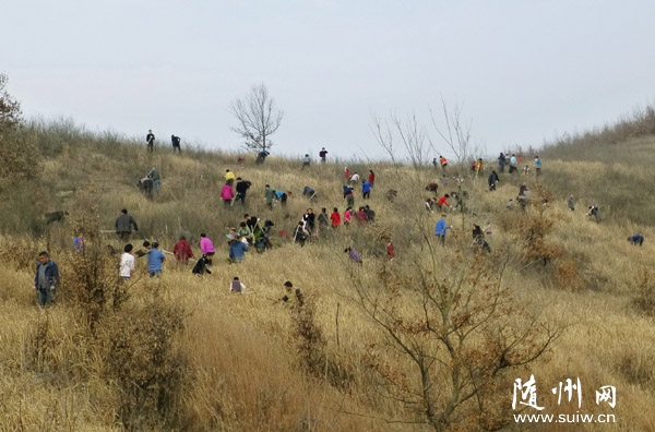 �S�h̫����L(f��ng)�����م^(q��)�M�������������ֲ��(sh��)