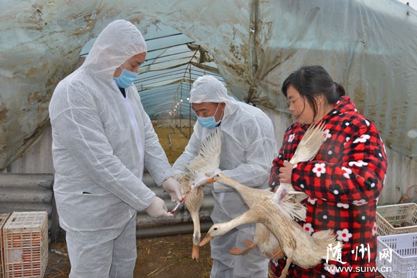 �S�ݸ��^(q��)��(d��ng)����߱O(ji��n)���ˆT�M(j��n)��H7N9���Йz�y(c��)