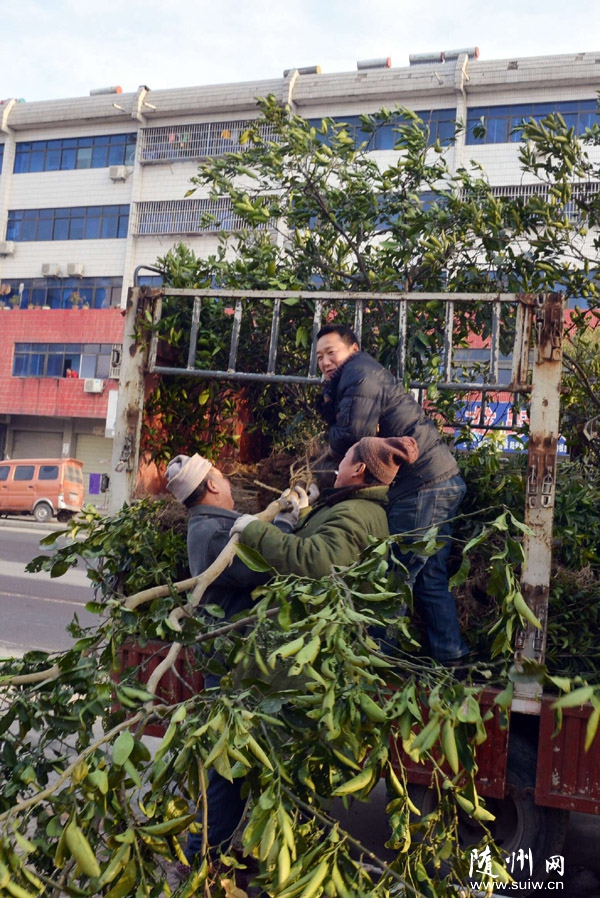 ���^(q��)�����(zh��n)��������Ѵ����Nֲ���٘���