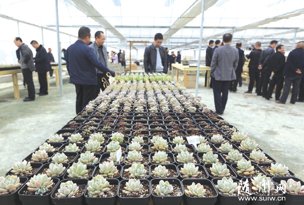 ��������@ˇ��˾�ڏVˮ���L�X�(zh��n)���O(sh��)100������ֲ��Nֲ�a(ch��n)�I(y��)�@