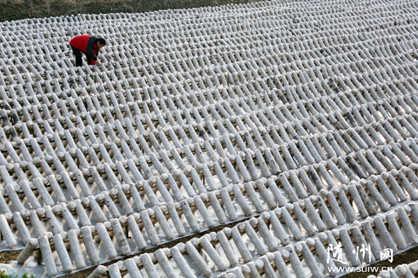 �S�h�߳��(zh��n)�e�O����(d��o)�r(n��ng)���_չ�����㹽���a(ch��n)