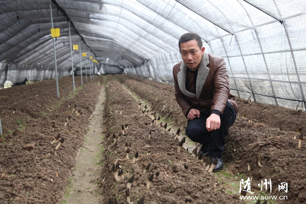 �ε��(zh��n)�R��?gu��)X���\(y��n)�ô��＼�g(sh��)�˹���ֲ��Ǿ�