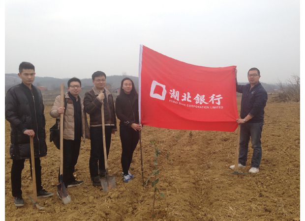 �����y���S�ݷ��нM������T�������v�c(di��n)���_չ�x��(w��)ֲ����