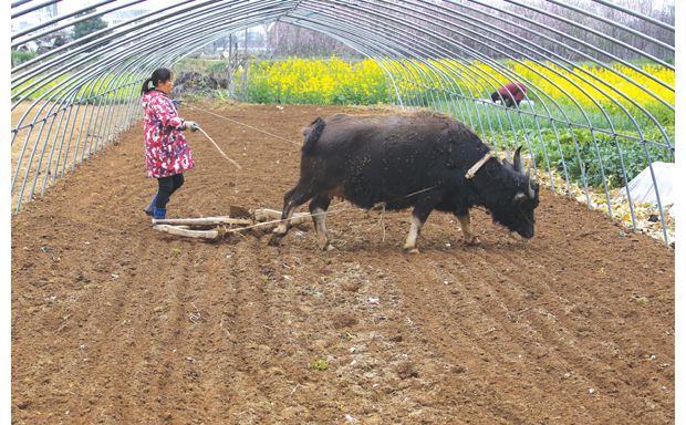 �S�ݳ����^(q��)���Ҵ����æ����