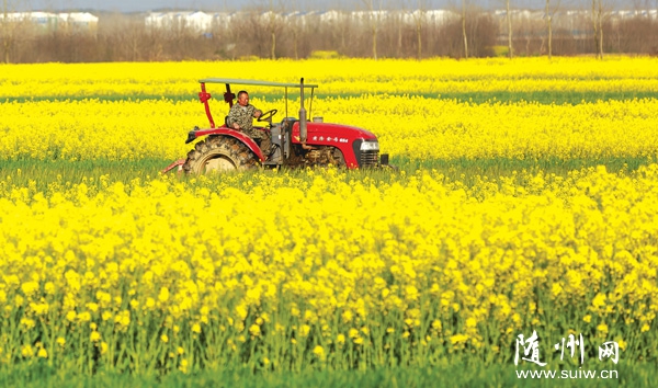 �S�ݸ��^(q��)�����(zh��n)�r(n��ng)��ץ�o�������_չ�������a(ch��n)