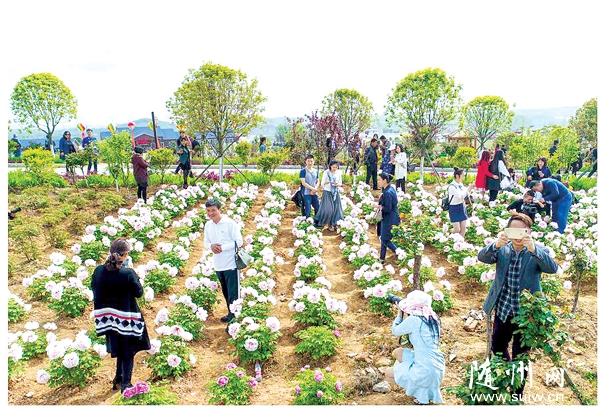 �S�h����ĵ���@�_(k��i)�@