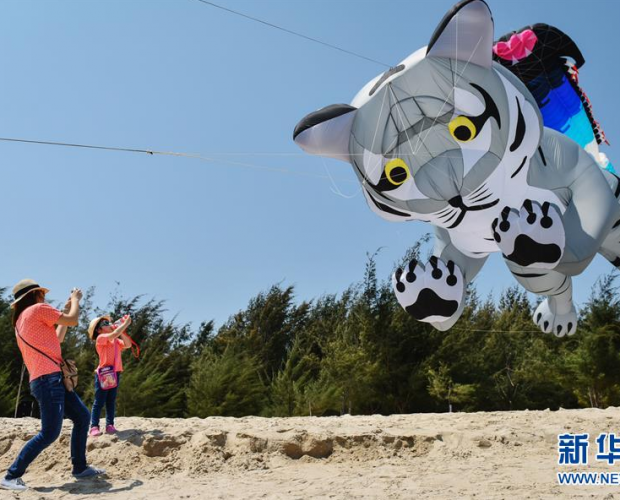 ̩��(gu��)��(gu��)�H�L(f��ng)�~��(ji��)�_(k��i)Ļ