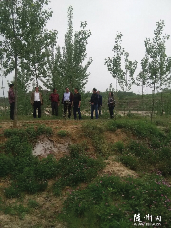 �S�hС���(zh��n)�M(j��n)�����ش_��(qu��n)��e��(sh��)�y(c��)