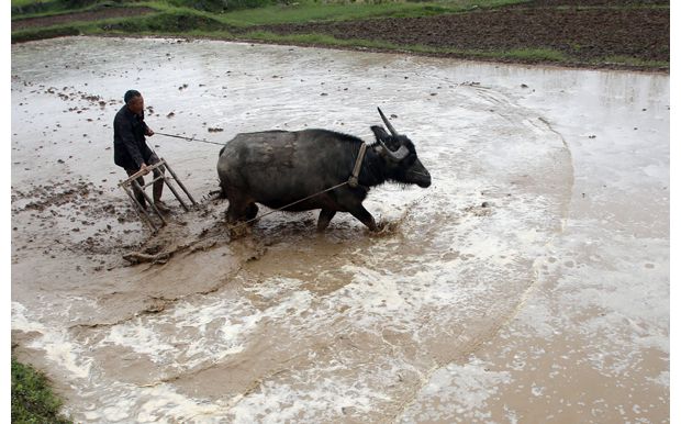 �����^(q��)�f(w��n)���(zh��n)���д��r(n��ng)���_(k��i)չ�r(n��ng)�I(y��)���a(ch��n)