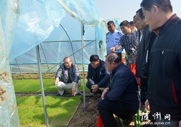 �S�ݸ��^(q��)�����(zh��n)�r(n��ng)���ˆT�ƏV�C(j��)������