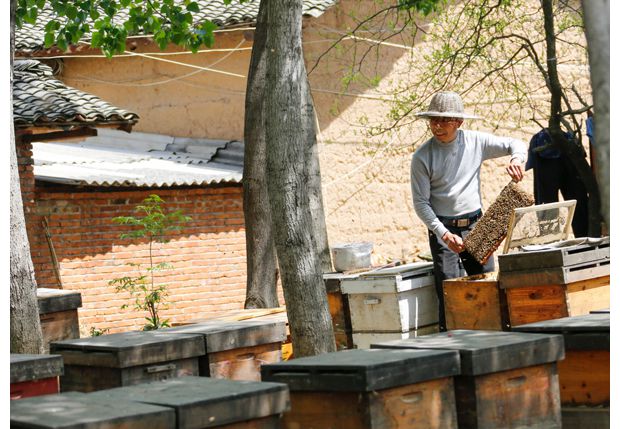 �S�h�ƿh�(zh��n)�A������r(n��ng)��Ƶķ��۹�����(y��ng)��