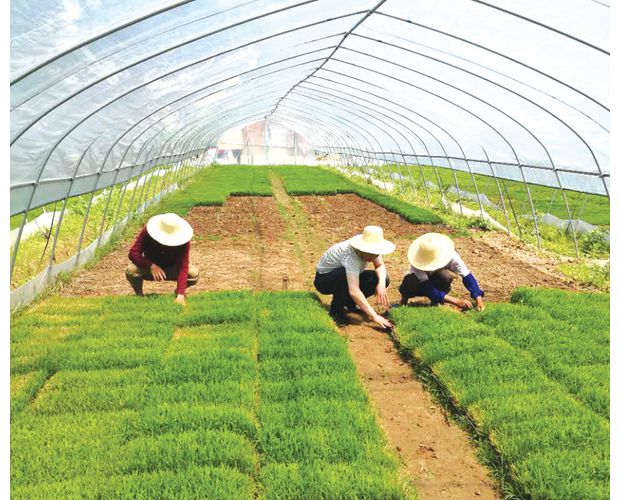 �S�h���N(xi��o)���T(m��n)��ץ�r(n��ng)�r(sh��)����(ji��)������������