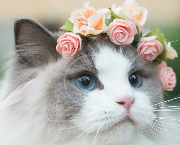 ���һ؈�䱻��(d��ng)�����B(y��ng) ��������ȹ��ˮ������