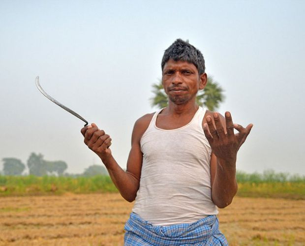 ӡ��һ����������12����ָ��12���_ֺ