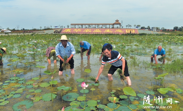 ���^(q��)�����(zh��n)���A�r(n��ng)�I(y��)���������r(n��ng)�I(y��)ʾ������