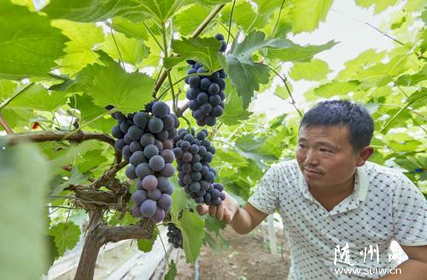 �S�h�����(zh��n)�����������D(zhu��n)���طNֲ��������