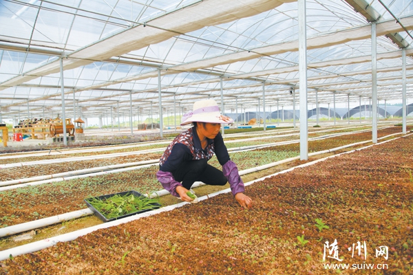 ����ֲ��Nֲ�a(ch��n)�I(y��)�ڰl(f��)չ�^���r(n��ng)�I(y��)��ͬ�r(sh��)������(d��ng)ؚ����Óؚ�¸�