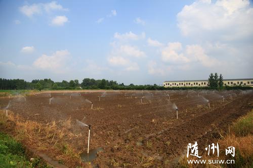 �S�h�����(zh��n)���D(zhu��n)ǧ�஀�r(n��ng)��Nֲ�����߲�