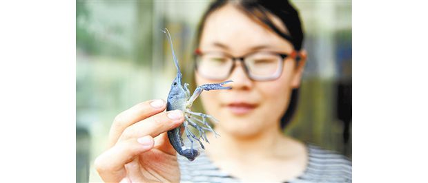 ���K���񲶫@�{(l��n)ɫ���r