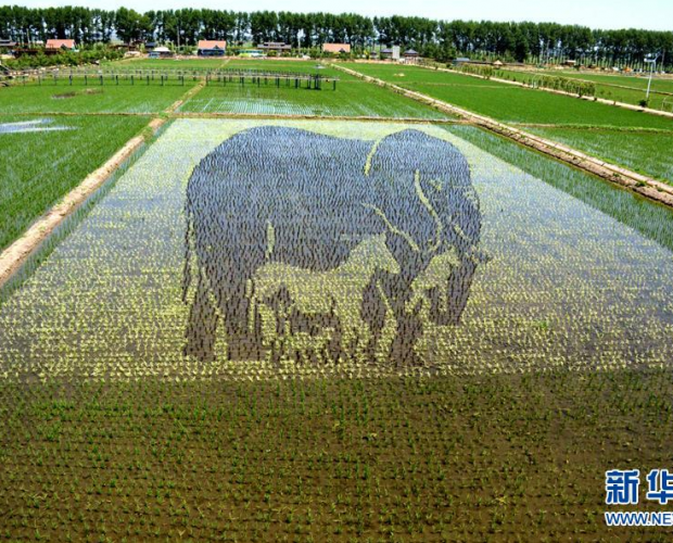 �|�����(y��ng)��3D���ﮋ(hu��)���M(j��n)���^�p��