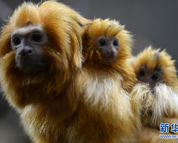 ��(d��ng)��@����³ɆT