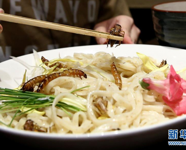 �ձ����^���x(ch��ng)׃��ʳ