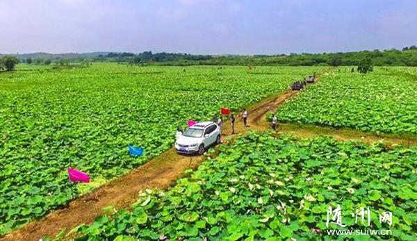 �Vˮ���P(gu��n)�R�(zh��n)��ե����������Y����̫��ɏ����