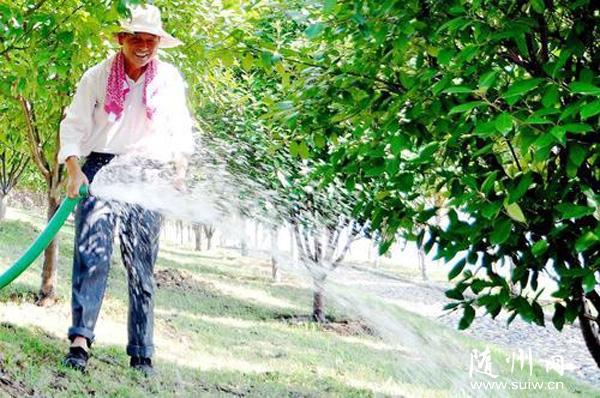 �@�֎������(sh��)ľ��ˮ�����ߜ�