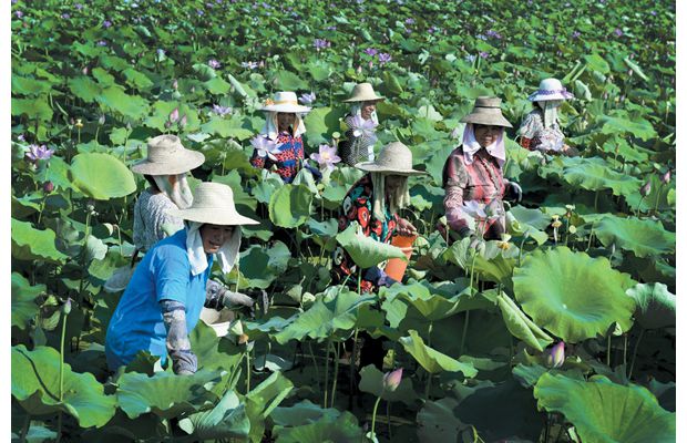 �Vˮ�гǽ��k��̎��ե���ͨ�^(gu��)�������Y������1000��̫��ɏ����