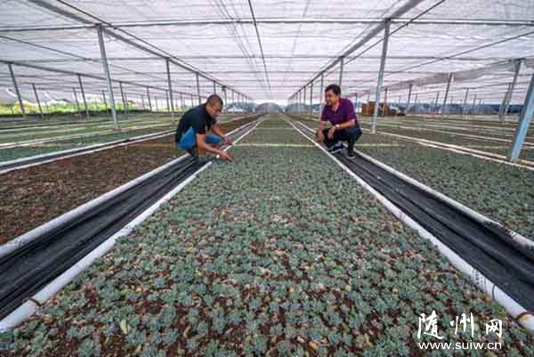 �Vˮ���L�X�(zh��n)Ȫˮ������˂���@ˇ���I(y��)������