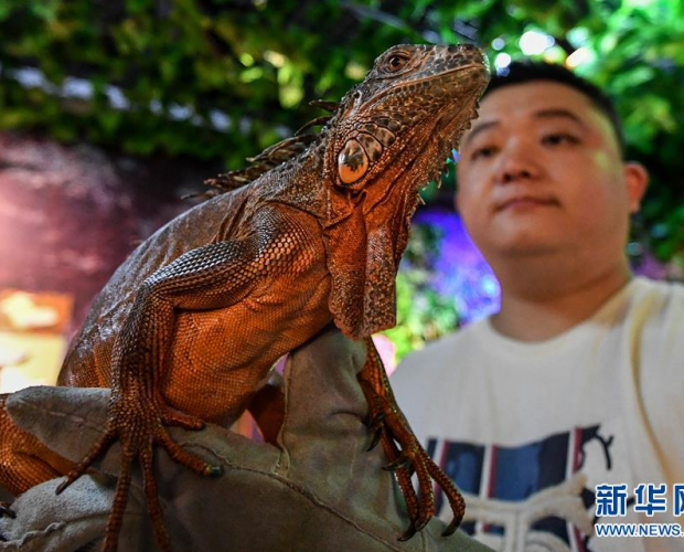 �����֡�֮���^����